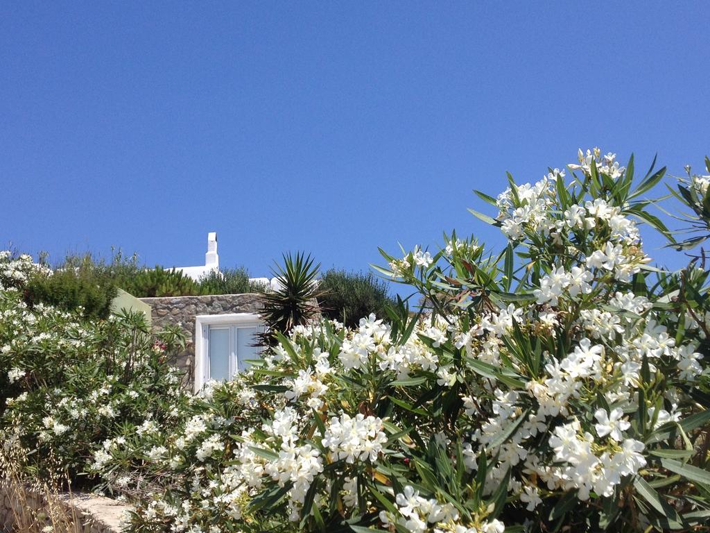 Mykonos Love Nest Ано Мера Номер фото